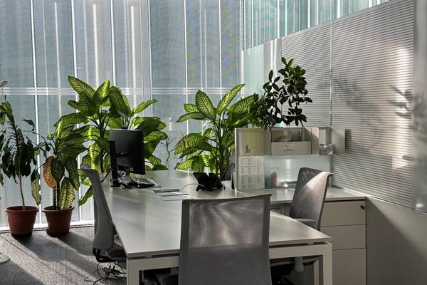 Modern ergonomic workspace with green plants and clean design